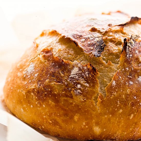 Crusty No Knead Bread - Recipe photo by trufflesandtrends