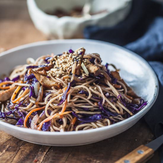 Purple Cabbage Chicken Lo Mein - Recipe photo by vibrantplate