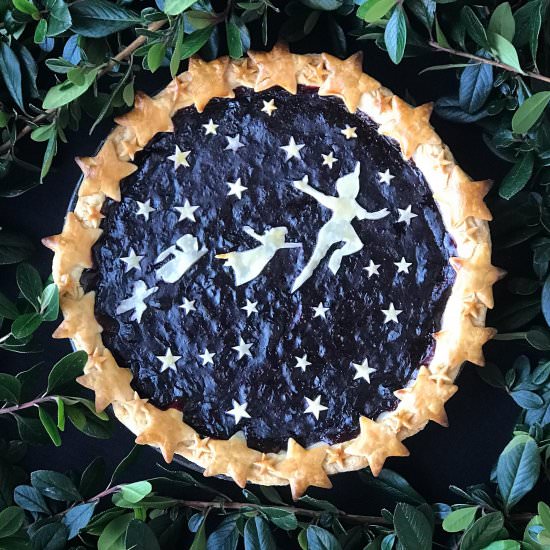 Blueberry Pie - Recipe photo by rumblyinmytumbly