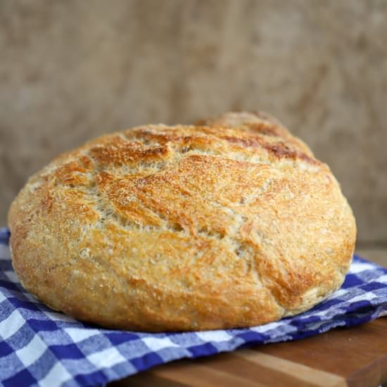 Knead Not Sourdough Bread - Recipe photo by abakershouse
