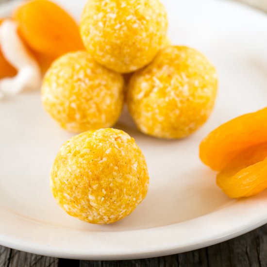 Coconut Apricot Bites - Recipe photo by fooddoodles