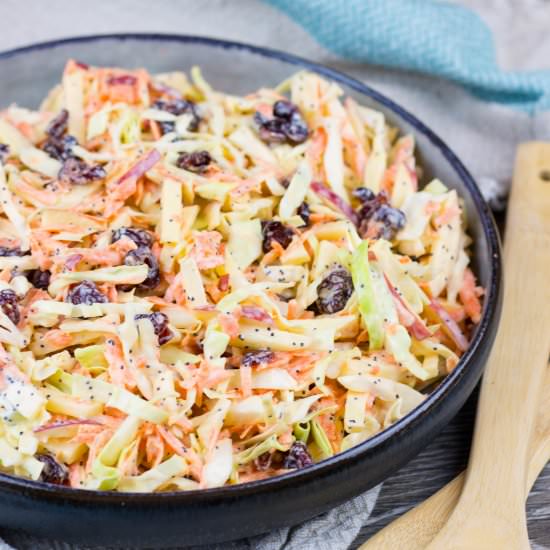 Apple Cranberry Coleslaw - Recipe photo by Veronikas Kitchen