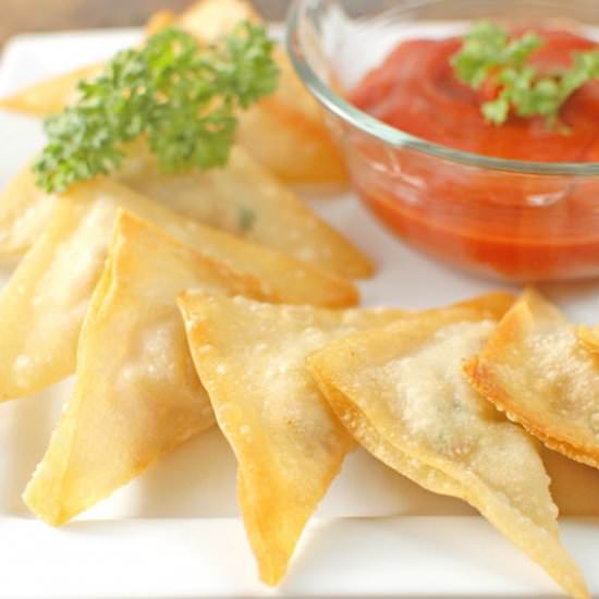 Easy Pork & Veggie Won Tons - Recipe photo by savingcentbycent
