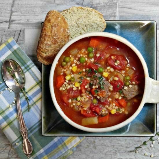One pot Vegetable beef barley soup - Recipe photo by thegardeningcook