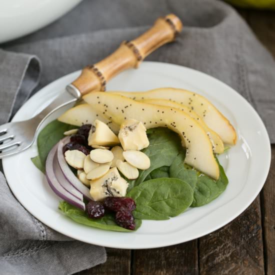 Spinach Pear Salad with Cranberries - Recipe photo by thatskinnychickcanbake
