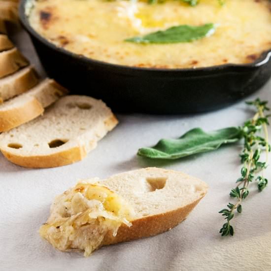 Caramelized Onion Cheese Dip - Recipe photo by SeasonedSprinkles