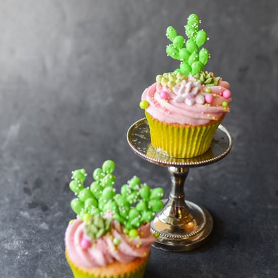 Prickly Pear Cupcakes & Icing - Recipe photo by tikkido