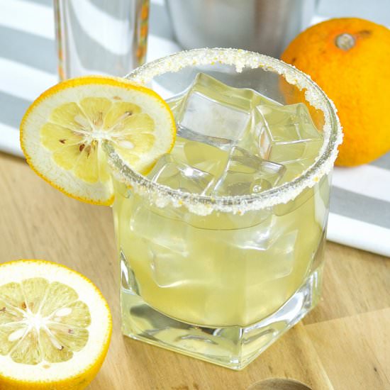 Seville Orange Margarita - Recipe photo by IAteTheWholeThing
