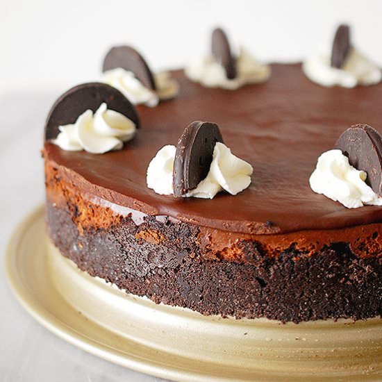 Girl Scouts Thin Mint cheesecake - Recipe photo by evabakes