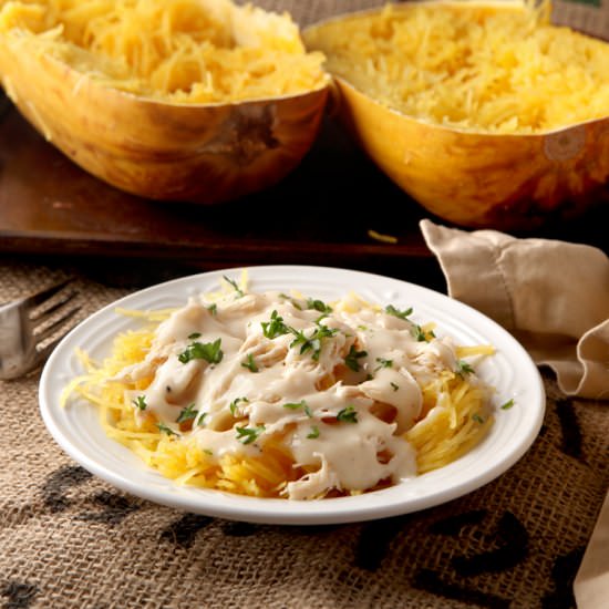 Spaghetti Squash Chicken Alfredo - Recipe photo by browniebites