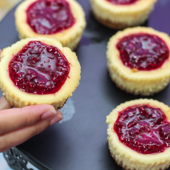 Cheesecake with Raspberry Sauce - Recipe photo by maya kitchenette