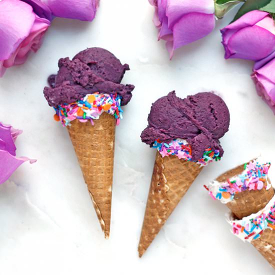 Blueberry Citrus Vegan Sherbert - Recipe photo by greensmoothiegourmet