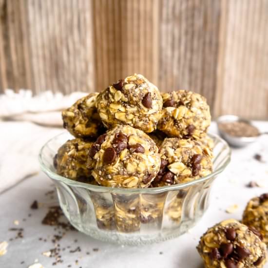 Chia Oatmeal Chocolate Chip Snack - Recipe photo by perchancetocook.com