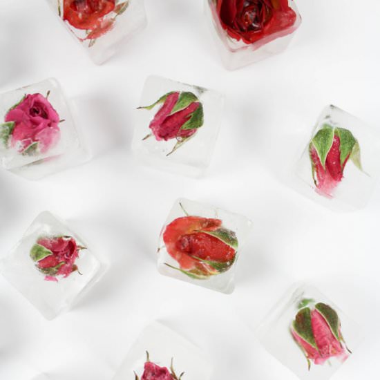 Rose Ice Cubes - Recipe photo by letsmingleblog
