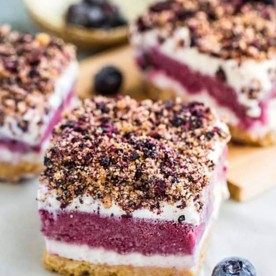 Blueberry Ice Cream Bars - Recipe photo by LifemadeSweeter