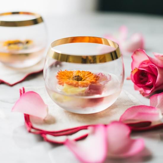 white negroni for valentine’s day - Recipe photo by jojotastic