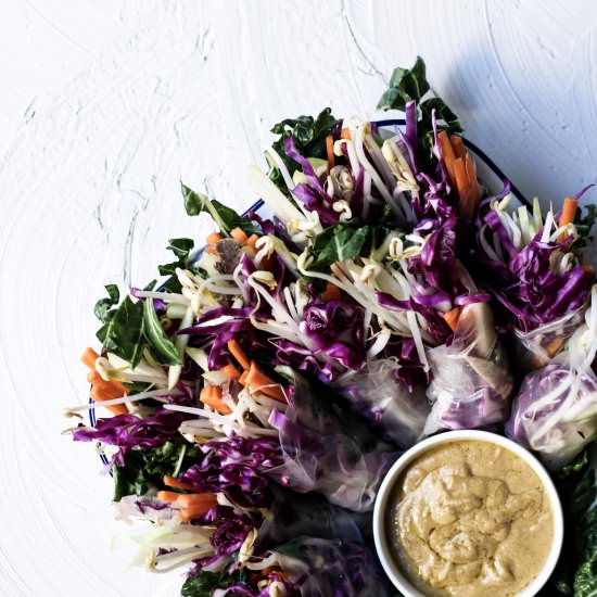 Pork and Apple Rice Paper Rolls - Recipe photo by sarahbellnutrition