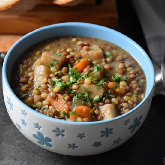 Slow Cooker Lentil Stew Recipe - Recipe photo by shelovesbiscotti