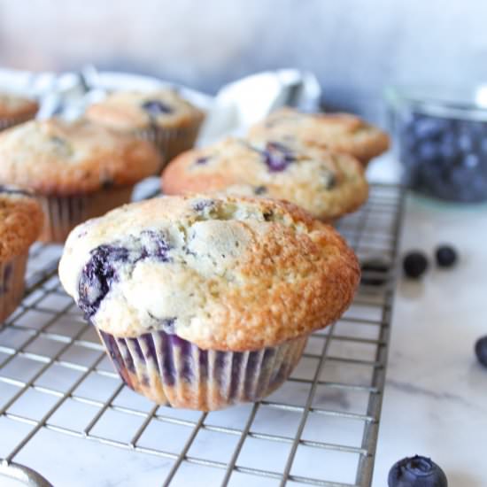 Perfect Blueberry Muffins - Recipe photo by thedelightfulbite