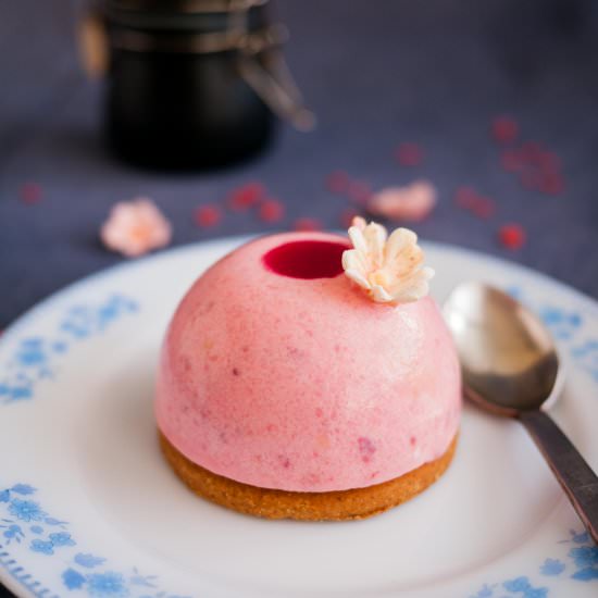 Strawberry Mousse Domes - Recipe photo by VeenaAzmanov