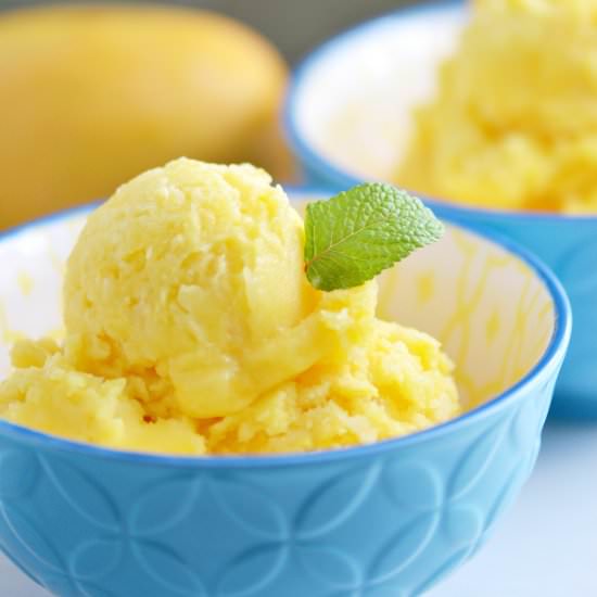 Mango Pineapple Sorbet - Recipe photo by FindingZest