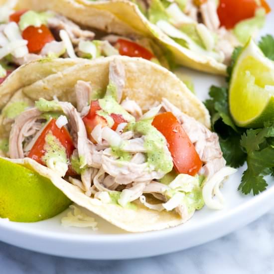 Shredded Chicken Tacos - Recipe photo by inspiredtaste