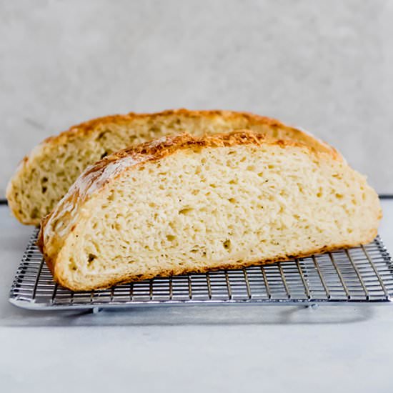 Easy Crusty Asiago Bread - Recipe photo by lifeasastrawberry
