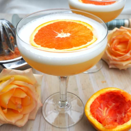 Blood Orange Pisco Cocktail - Recipe photo by Everyday Gourmet with Blakely