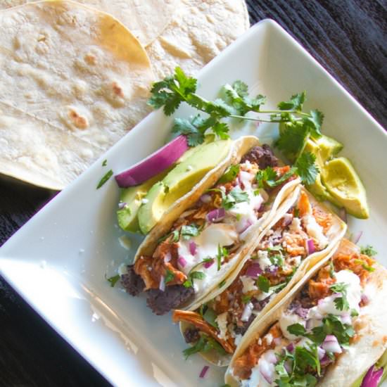 Chicken Adobo & Black Bean Tacos - Recipe photo by Jaxx The Bearded Hiker