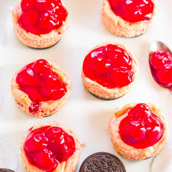 Mini Cherry Oreo Cheesecakes - Recipe photo by Averie