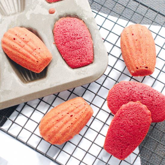 Beet Madeleines - Recipe photo by TheCraveableKitchen