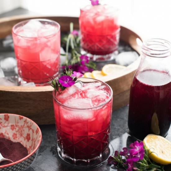Tropical Hibiscus Bourbon Cocktail - Recipe photo by hungerthirstplay