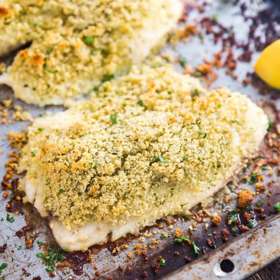 Panko Parmesan Baked Tilapia - Recipe photo by Thelifejolie