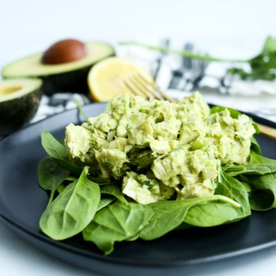 Avocado Chicken Salad - Recipe photo by Happy Healthy Mama