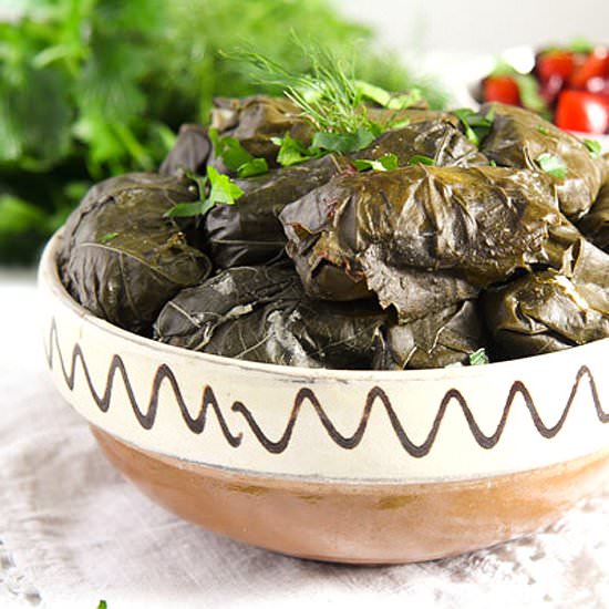 Stuffed Vine Leaves with Ricotta - Recipe photo by adinutza