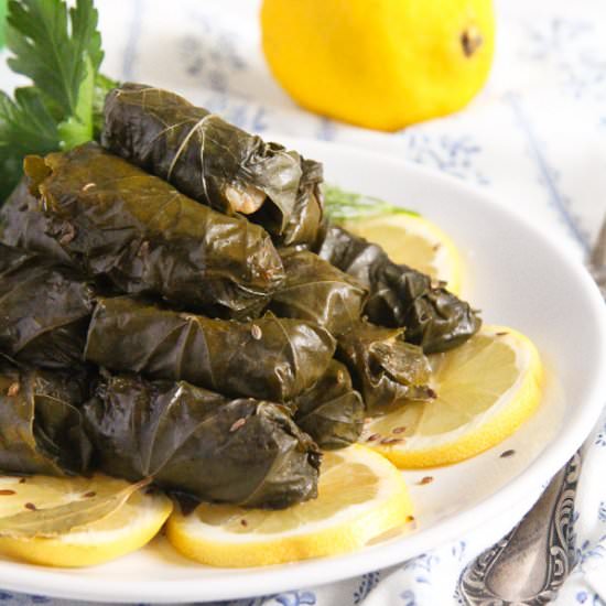 Vine Leaves with Fish and Rice - Recipe photo by adinutza