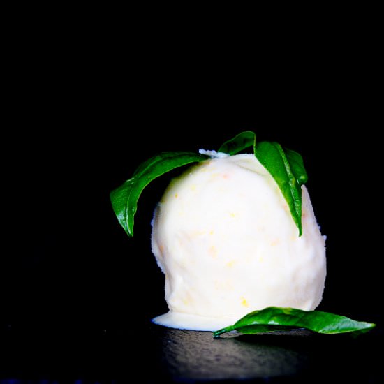 Mandarin ice cream - Recipe photo by receitas