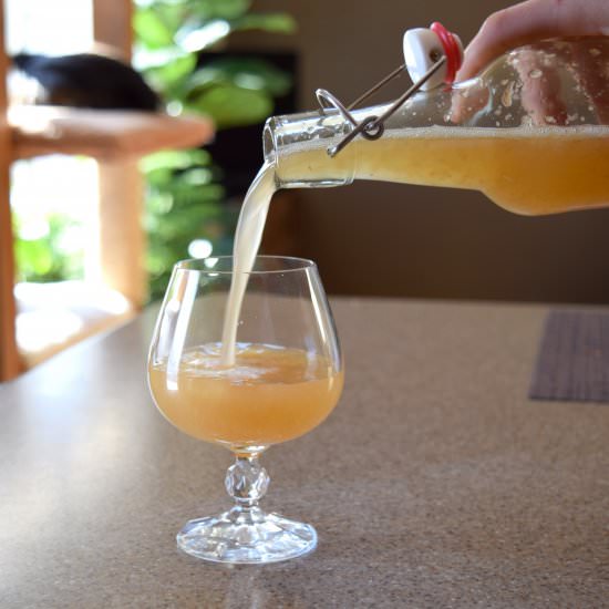 Brewing Kombucha - Recipe photo by gristandgreens
