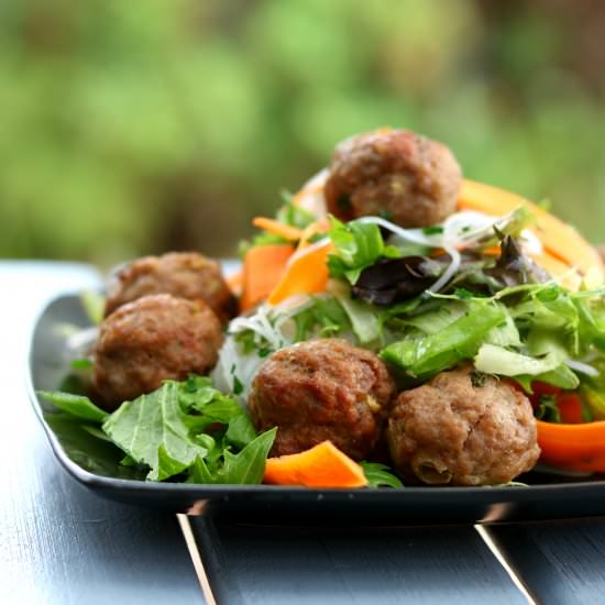 Vietnamese Bun Cha Salad - Recipe photo by SouthernInLaw