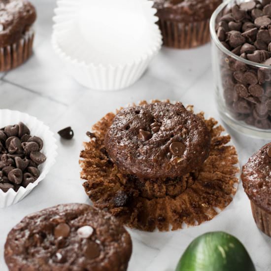 Chocolate Zucchini Muffins - Recipe photo by followtheruels