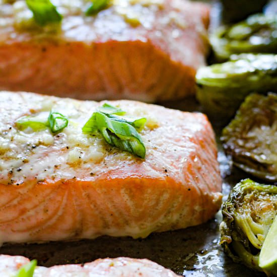 One pan buttery garlic salmon - Recipe photo by Berrymaple