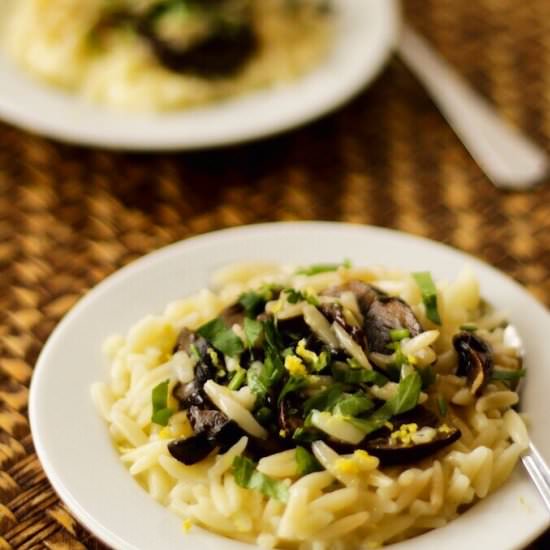 Orzo Pasta with Lemon Mushrooms - Recipe photo by MyWeekendKitchen