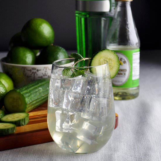 Sparkling Cucumber Gimlet with Mint - Recipe photo by A Little and A Lot