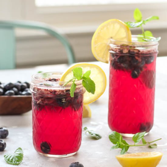 Lemon Blueberry Kombucha Spritzers - Recipe photo by pumpkinandpb