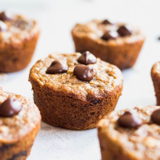 Banana Chocolate Chip Oat Muffins - Recipe photo by Danilicious