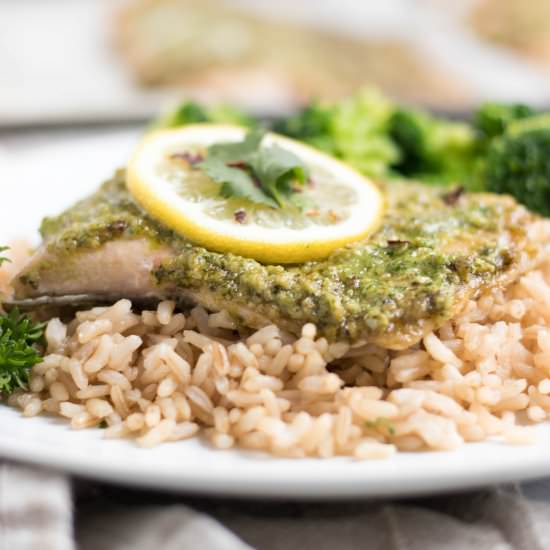 Cilantro Pesto Rainbow Trout - Recipe photo by lemons and zest