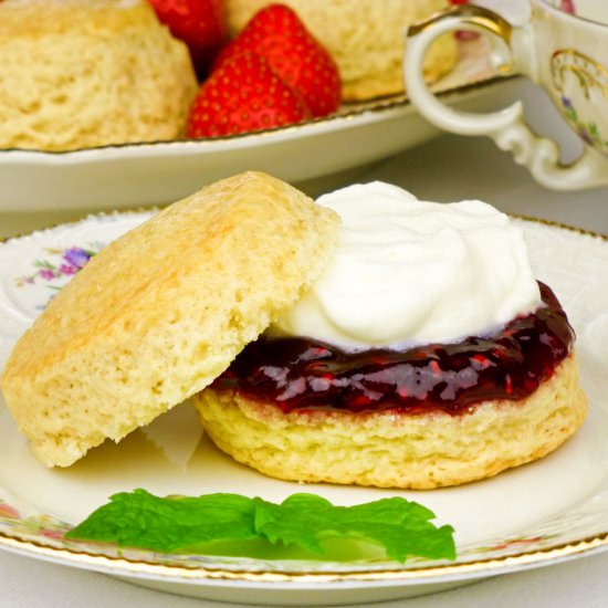 Scones with jam and cream - Recipe photo by Mach