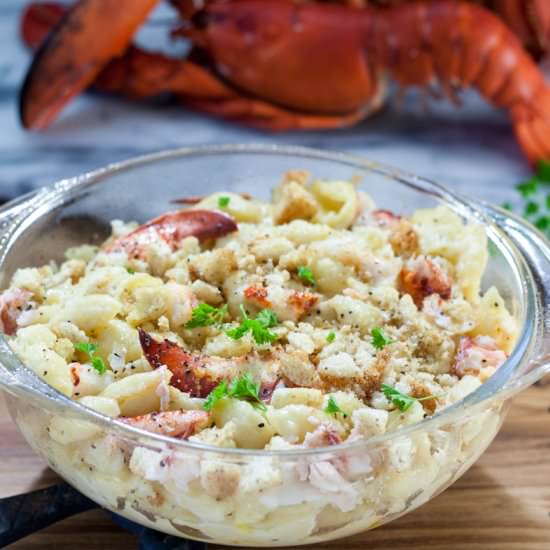 Lobster Mac and Cheese - Recipe photo by BinkysCulinaryCarnival