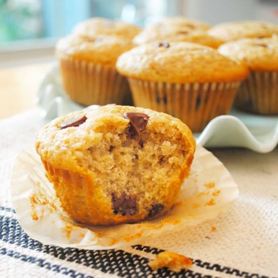 Chocolate Chip Oat Muffins - Recipe photo by The Anchored Kitchen
