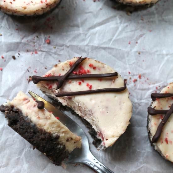 strawberry chocolate mini cheesecak - Recipe photo by wherethewildcakegrows